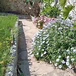 בית נופש Tiname *