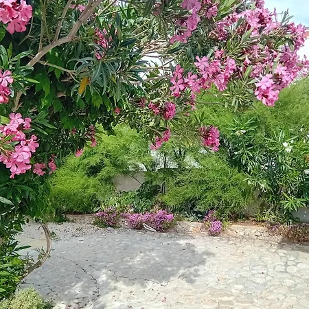Tiname Tatil Evi