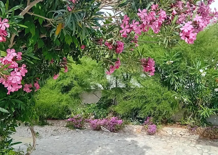 Tiname Hébergement de vacances