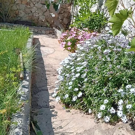 Hébergement de vacances Tiname *