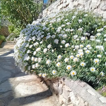 Hébergement de vacances Tiname *