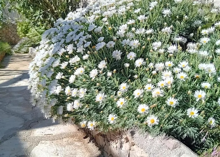 Dom wakacyjny Tiname *